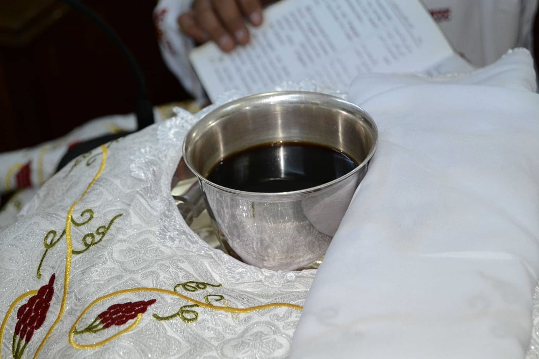 DSC0189 | كنيسة الشهيدة دميانه بفاو قبلى