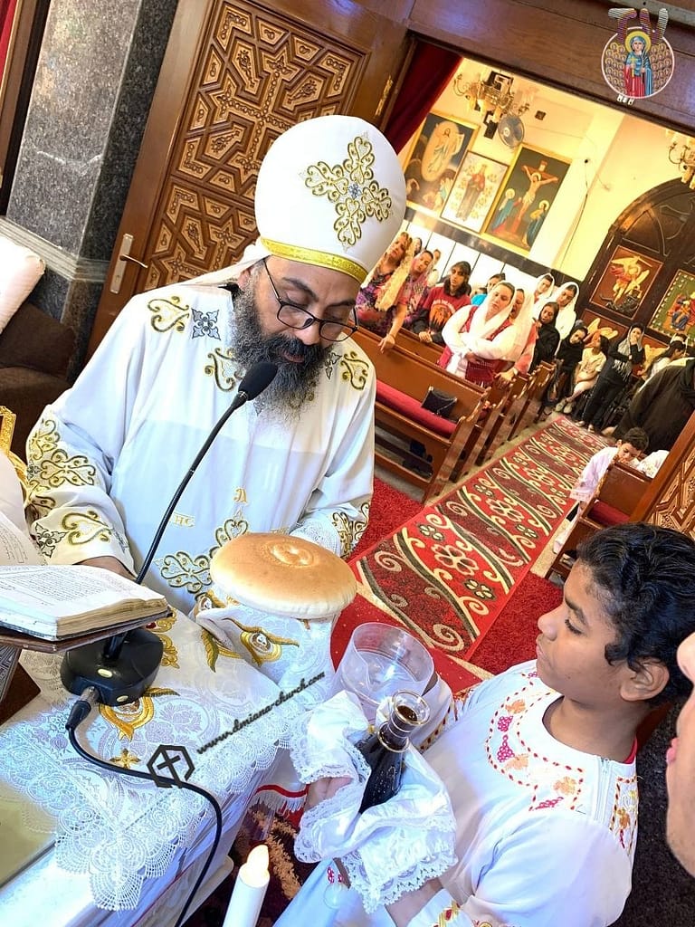 photo16808606750981987417426658691105 | كنيسة الشهيدة دميانه بفاو قبلى