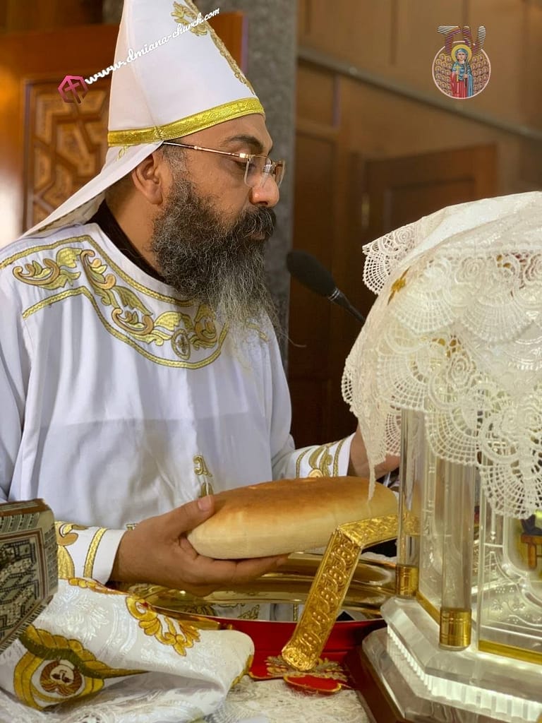 photo1681036935046883613406322435704 | كنيسة الشهيدة دميانه بفاو قبلى